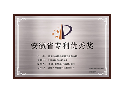 Anhui Patent Excellence Award in 2021