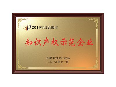  Intellectual property demonstration enterprise